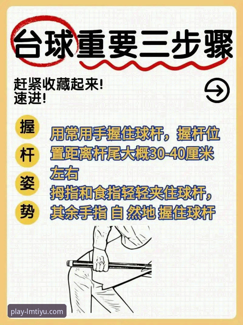 LMSports完整使用指南：从零开始掌握LM体育服务平台的实用技巧